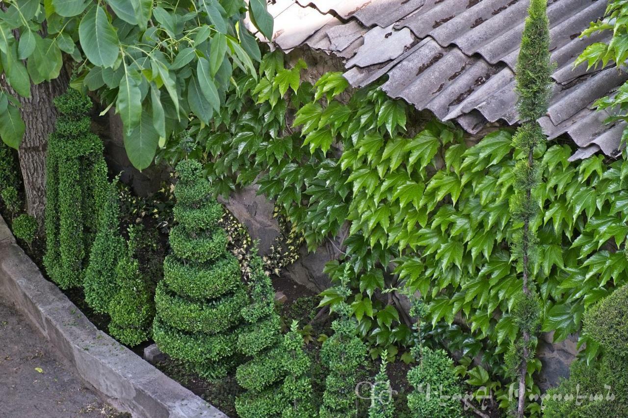 Shushan B&B Yeghegnadzor Exterior photo